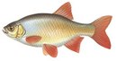 НКК - иконка «рыбалка» в Висиме